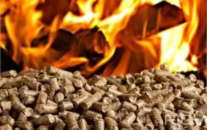 Wood Fuel Supplier