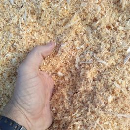 Wood Chips Supplier